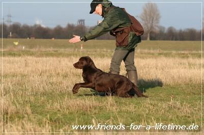 Dummytraining 2008 / 2009